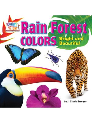 cover image of Rain Forest Colors